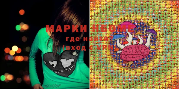 стафф Алексин